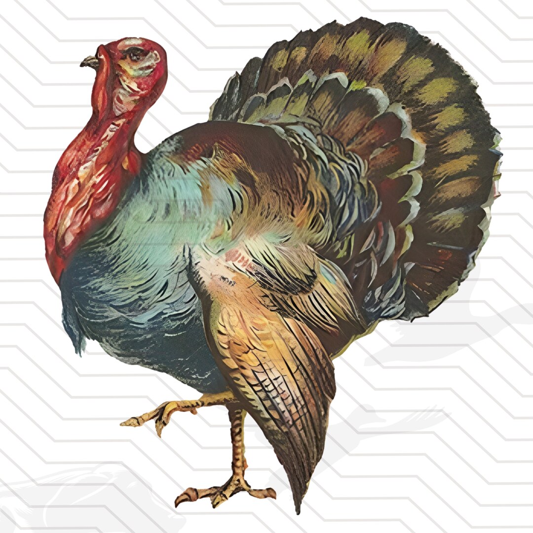 Vintage Turkey Png Turkey Hunting Retro Turkey Hunt Sublimation Design ...