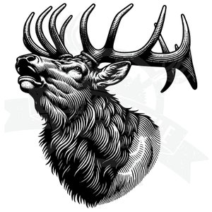 Bull elk SVG, Elk head svg, detailed bugling bull elk Svg, Elk hunting SVG, elk laser cut file Download, Elk Hunting SVG, , Hunting Design