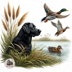 PNG de sublimação de cão de caça | Labrador Preto png | Sublimação PNG de Caça ao Pato | Sublimação De Pato PNG | Caçador de pato png | Cão de caça png