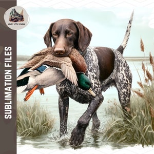 Braco alemán de pelo corto PNG / GSP Diseño de sublimación de caza de patos / Cazador de arte de pared de caza de patos / Perro pájaro recuperando pato mallard