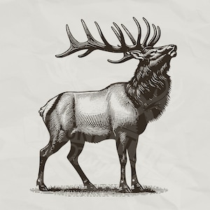 bugling bull elk svg, Elk hunting SVG, elk laser cut file Download, Elk Hunting SVG, Bull elk SVG, Elk in Mountains, Hunting Design