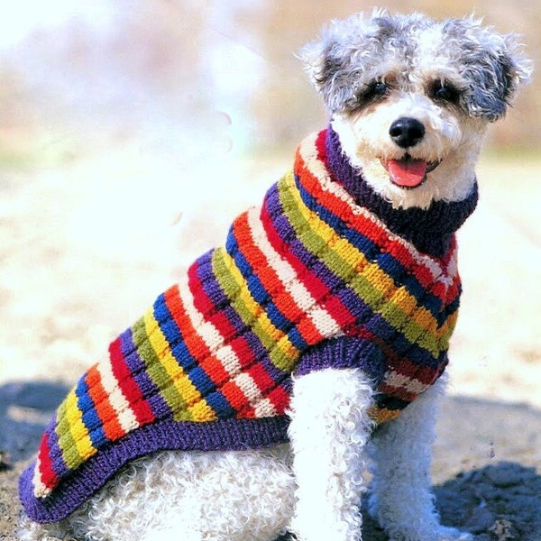 Knitting Pattern PDF  Striped Dog Sweater Coat Jumper  Petite S M L XL Dogs  Worsted Aran Pet Gift Puppy Winter Dog Walk Christmas Vintage