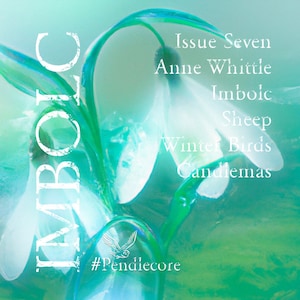 May include: A close-up of a white snowdrop flower with green leaves against a turquoise background. The text "Issue Seven Anne Whittle Imbolc Sheep Winter Birds Candlemas #Pendiecore" is visible in the image.