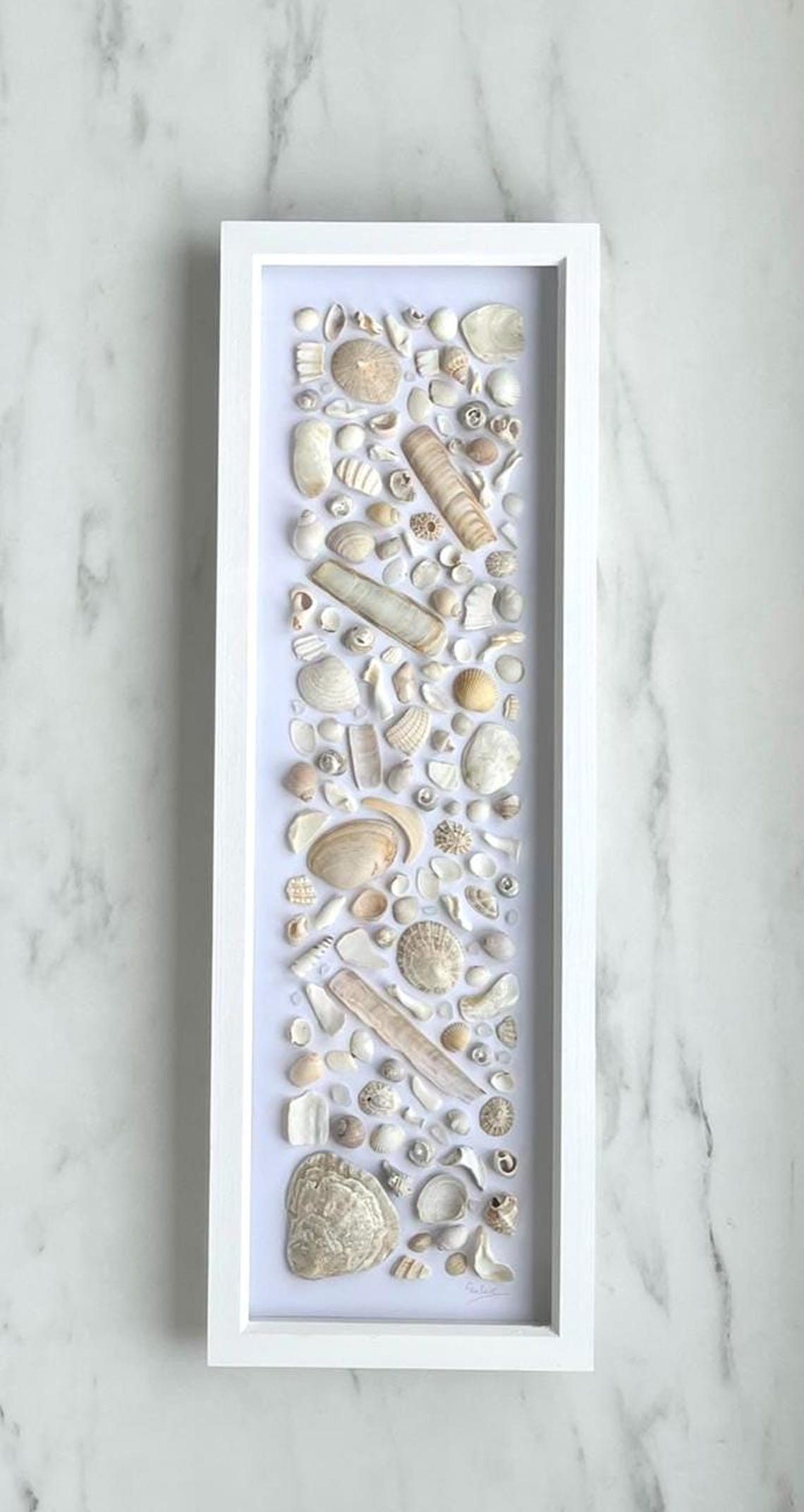 Tall Frame, Beach, Coastal, Shells, Frames, Sea, Sea Glass, Beach Finds ...