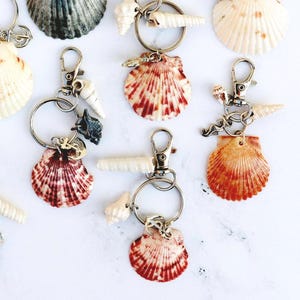Llavero de concha de Florida: llavero de concha calicó, regalo para los amantes del océano