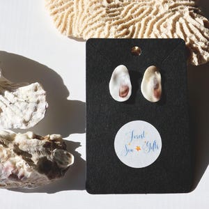 Oyster Shell Stud Earrings: Beach Wedding Jewelry, Florida Seashells