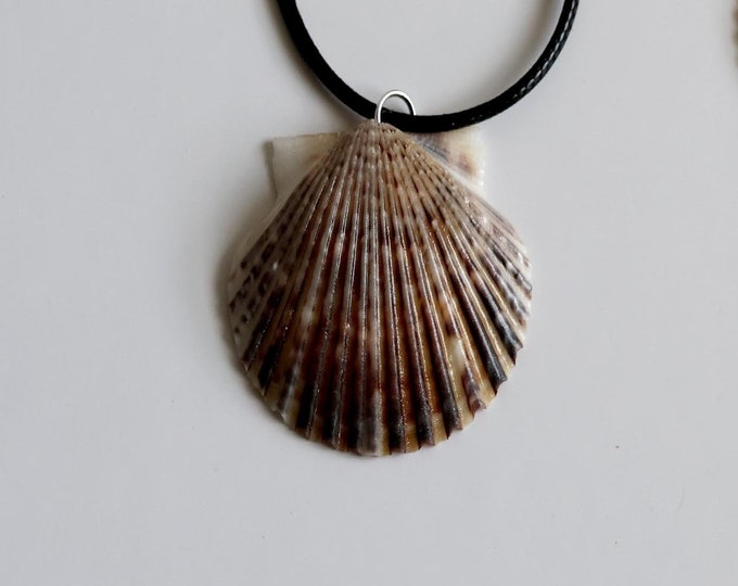 Calico Shell Necklace, Calico Scallop Shell Necklace, Coastal Jewelry, Seashell Necklace, Beach Necklace, Natural Jewelry, Mermaid Necklace