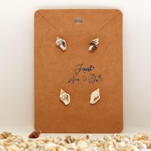 May include: Four pairs of seashell stud earrings presented on a brown card. The card has the text "Forest Sea & Sun". The earrings feature natural shell patterns. A scattering of seashells is at the base of the card.
