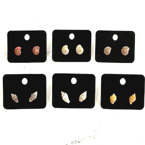 Winzige Muschel-Ohrstecker: Edelstahl Minimal Schmuck