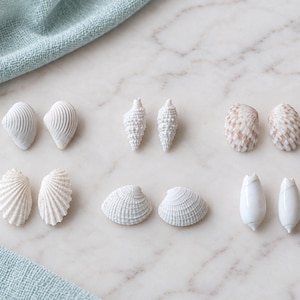 Tiny White Seashell Stud Earrings, Real Florida Shells, Stainless Steel Posts