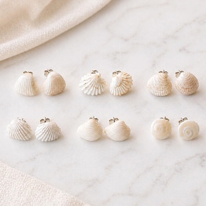 May include: Six pairs of stud earrings featuring natural white and beige seashells. Each pair showcases a distinct shell shape, including ribbed, fan-like, and spiral designs, all attached to silver-toned metal earring posts and backs.