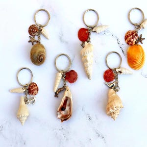 Puede incluir: Una colección de llaveros de conchas marinas. Cada llavero presenta un tipo diferente de concha marina, incluyendo caracolas, conchas de vieira y estrellas de mar, con dijes de metal y llaveros. Las conchas son de color marrón, blanco, naranja y rojo.