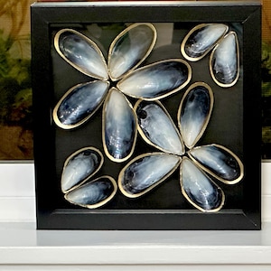 Blue Mussel Shell Art: Floral Seashell Shadow Box Frame