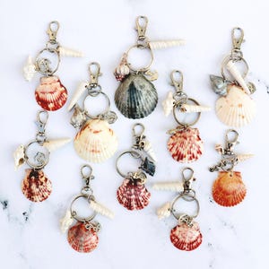 Calico Shell Keychain, Sea Scallop Keyring, Sea Lovers Gift, Handmade Seashell Keychain, Ocean Keyring, Surfer Keychain, Seashell Favors