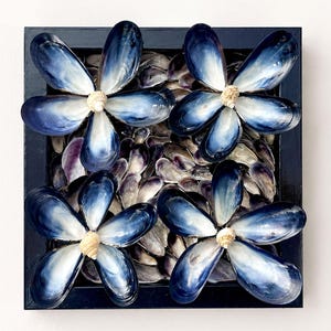Könnte beinhalten: Ein quadratisches, gerahmtes Kunstwerk mit vier blumenartigen Anordnungen aus blau-weißen Muschelschalen. Die Blütenzentren sind beige. Der Hintergrund ist mit kleineren Muscheln gefüllt.
