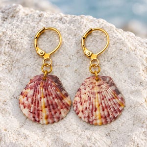 May include: A pair of drop earrings featuring natural fan-shaped seashells with variegated patterns of deep red, purple, and cream. Each shell is suspended from a polished gold-tone metal leverback clasp by a small circular jump ring connector.