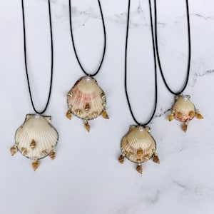 Calico Scallop Shell Necklace: Handmade Beach Jewelry with Pearl
