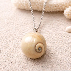 Shark Eye Shell Necklace, Real Moon Snail Pendant, Choose Your Exact Shell