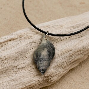May include: A necklace featuring a dark gray, spiraled seashell pendant suspended from a thin, black cord. The shell has a natural, weathered texture with subtle variations in tone, attached to the cord by a small, silver-colored metal jump ring.