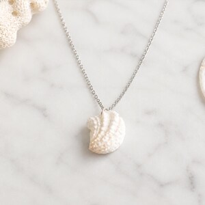 Florida Spiny Jewelbox Shell Necklace, Real Seashell Pendant, Coastal Beach Jewelry, White Cord or Stainless Steel Chain