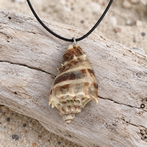 May include: A pendant necklace featuring a natural, spiraled seashell with brown and cream-colored bands. The shell is attached to a simple, thin black cord by a small silver-toned metal jump ring, creating a minimalist piece of jewelry.