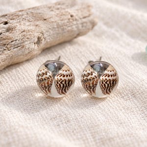 May include: A pair of round stud earrings featuring clear resin domes that encapsulate two small, brown and white patterned spiral seashells. The earrings have a smooth, polished finish and are designed with metal posts for secure attachment.