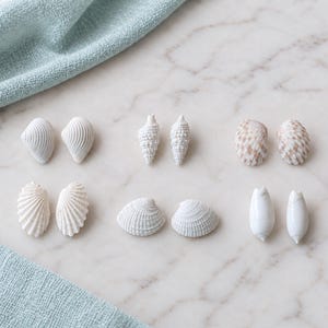 Pendientes pequeños de conchas marinas blancas, conchas auténticas de Florida, postes de acero inoxidable.