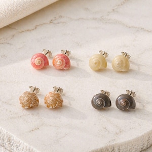 Umbonium Shell Stud Earrings Set, 2 Pairs, Choose Your Colors for Ear Stacking