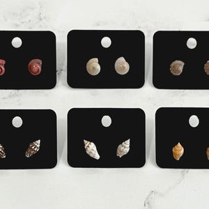 Puede incluir: Seis pares de pendientes de botón con forma de concha marina, presentados en tarjetas negras. Los pendientes presentan varios tipos y colores de conchas, incluyendo rosa, beige y marrón. Cada tarjeta tiene un agujero en la parte superior.