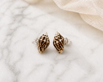 Tiny Nassa Shell Stud Earrings, Real Seashell Earrings, Minimalist Beach Jewelry