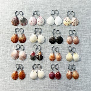 Calico Jakobsmuschel Ohrringe: Florida Beach Schmuck