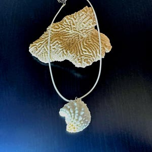 Florida Spiny Jewelbox Clam Necklace: Beachy Seashell Pendant