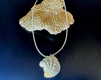 Florida Spiny Jewelbox Clam Necklace: Beachy Seashell Pendant, Sea shell Jewelry