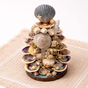 Puede incluir: Una escultura decorativa de árbol de conchas marinas. El árbol está construido con varias conchas marinas, incluyendo conchas de vieira, conchas de caracola y pequeñas conchas redondas. Una estrella de mar adorna la parte superior. La base es un círculo de madera oscura.