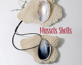 Mussel Necklace, Blue Mussel Seashell, Freshwater Pearl Mussel Shell, Real Shell Necklace, Beach Necklace, Nautical Jewelry, Shell Jewelry