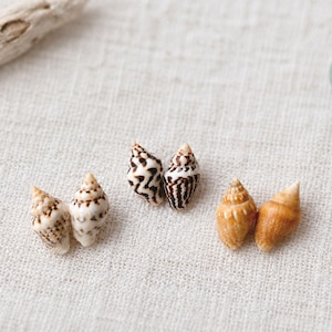 Tiny Nassa Shell Stud Earrings, Real Seashell Earrings, Minimalist Beach Jewelry