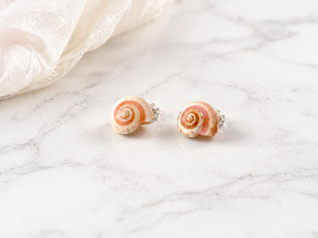 Button Top Shell Button Top Shell Stud Earrings, Tiny Umbonium Seashell Earrings, Real ...