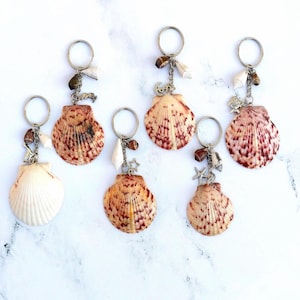 Calico Scallop Seashell Keychain: Ocean Charms, Sea Lover Gift