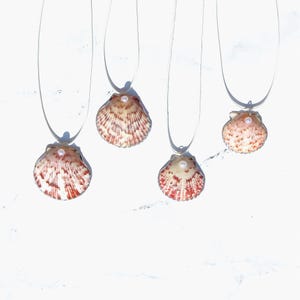 Red White Calico Scallop Seashell Necklace, Handmade Beach Jewelry, Ocean-Inspired Gift Summer Necklace Ocean Jewelry, Real Shell Necklace