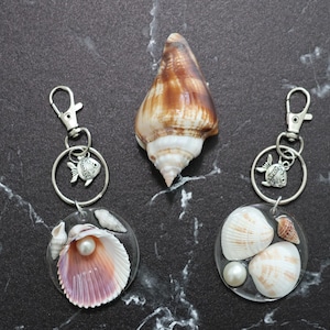Seashell Keychain with Cross-Barred Venus Clam & Spiny Cockle - Ocean Inspired Resin Keychain Perfect Gift for Beach Lovers. Seashell Favors