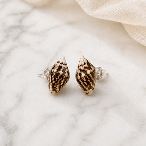 Puede incluir: Un par de pendientes de botón con diseños de conchas marinas naturales. Los pendientes tienen un poste de plata y una concha con un patrón crema y marrón. Los pendientes están colocados sobre una superficie de mármol blanco.