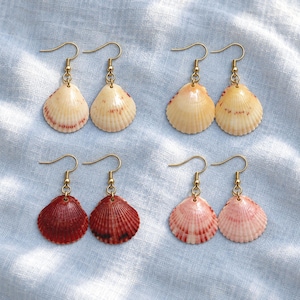 May include: Four pairs of dangle earrings featuring natural scallop shells in varying shades of cream, tan, deep red, and soft pink. Each shell is attached to a gold-toned metal fishhook ear wire, showcasing the ribbed texture of the shells.