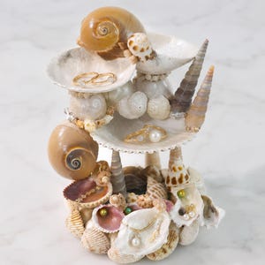 Peut inclure: Un présentoir à bijoux à plusieurs niveaux fabriqué à partir de divers coquillages, incluant de grandes coquilles en spirale et des bivalves blancs. La structure comporte plusieurs plateaux concaves pour bagues et colliers, avec des bijoux dorés.