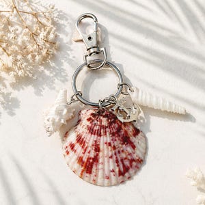 Real Calico Scallop Shell Keychain, Florida Seashell Keyring, Beach Gift