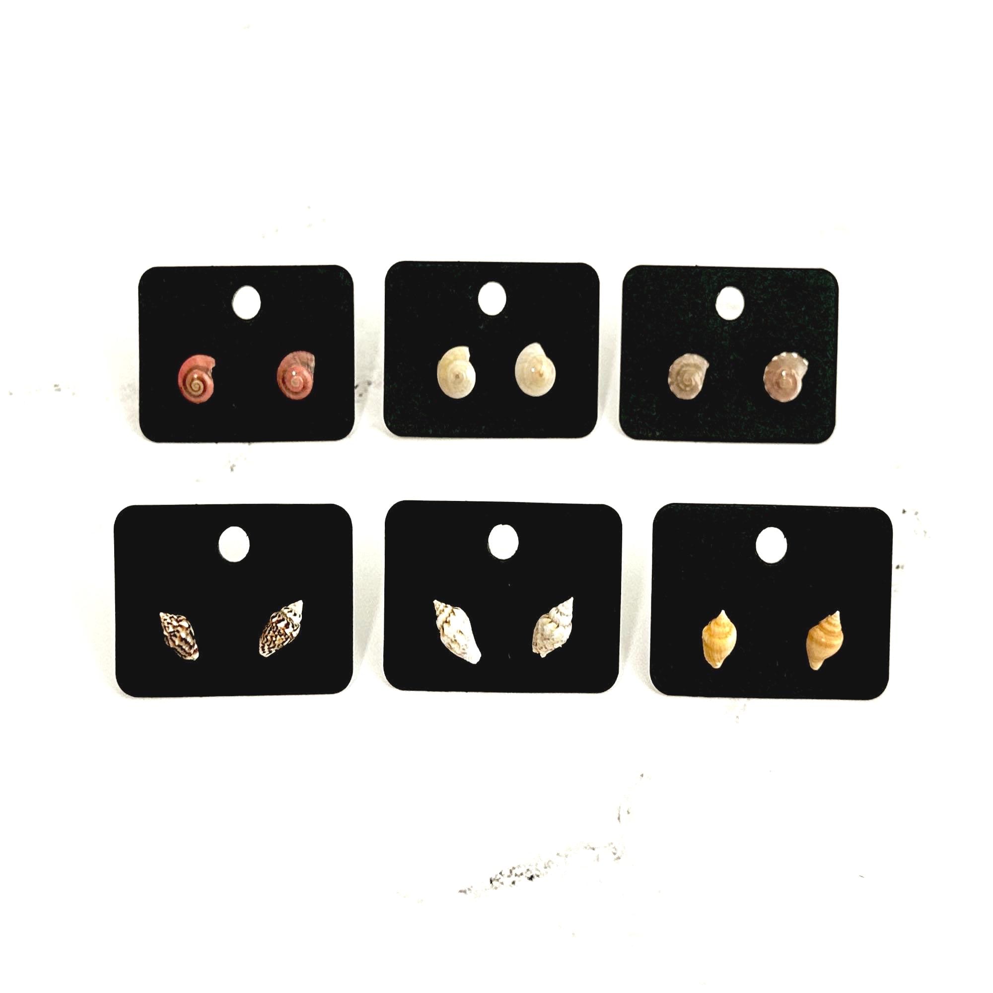 Tiny Seashell Stud Earrings: Stainless Steel Minimal Jewelry