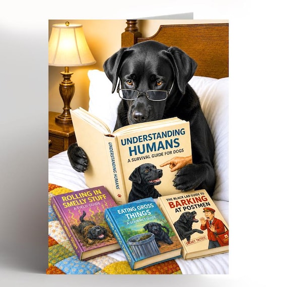 Funny Black Labrador card | Dog Humour |  Birthday Card | Animal Illustration | Blank Inside