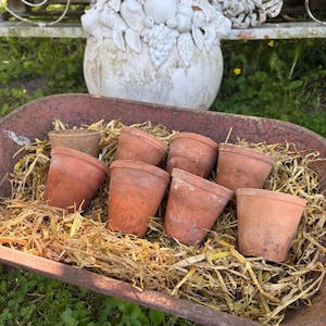 Vintage French Terracotta Pots - Set of 8 Aged Patina Clay Planters - 3" Miniature Garden Pots charm of a French country garden to your home