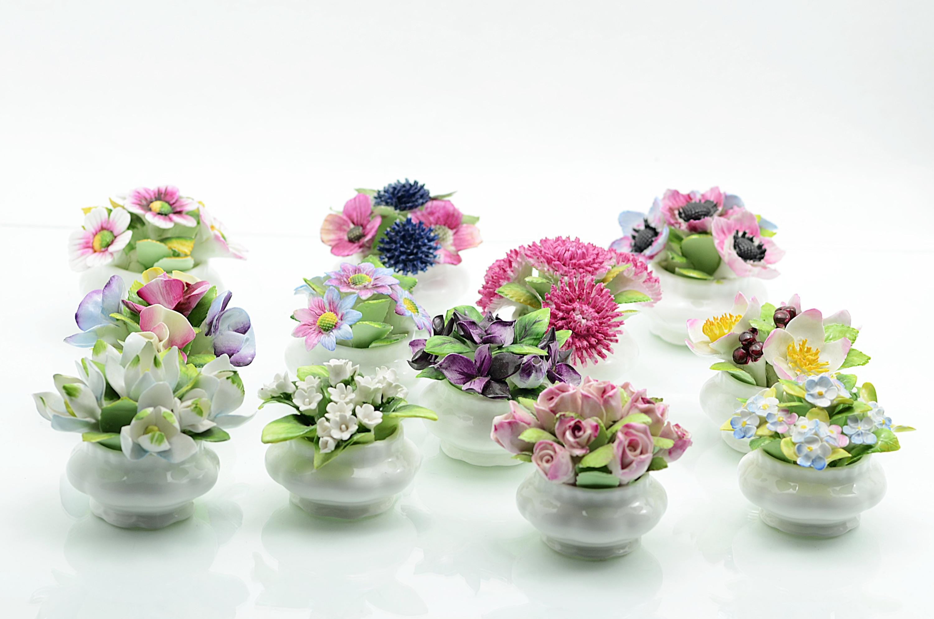 Royal albert flower of the month - Etsy 日本