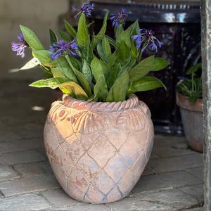 Antique Terracotta Garden Pot – Shell & Lattice Relief – Weathered Patina 27cm 1880-1920