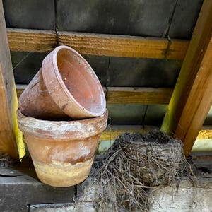 Può includere: Due vasi di terracotta usurati impilati, con un nido di uccello a destra. I vasi sono di un caldo colore marrone-rossastro, che mostra segni di età e utilizzo. Il nido è fatto di ramoscelli ed erbe secche.